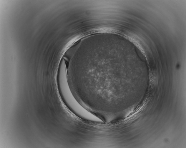 X0000098170946200805011011