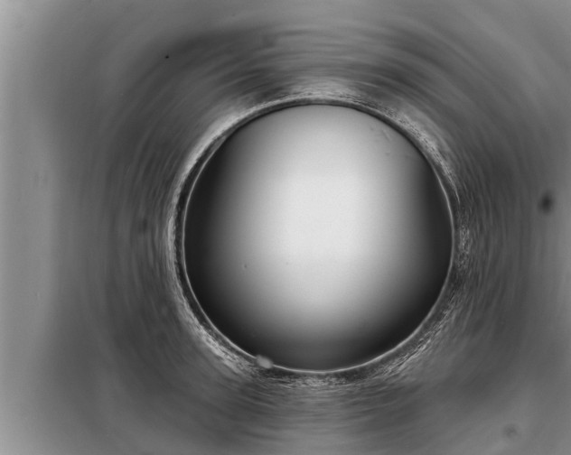 X0000098170947200805011011