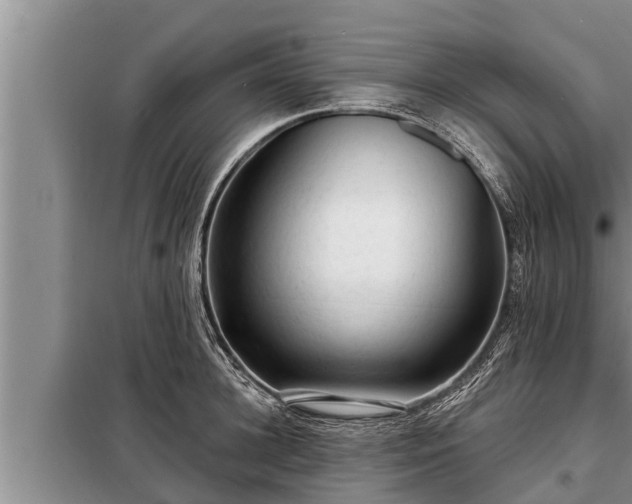 X0000098170948200805011011