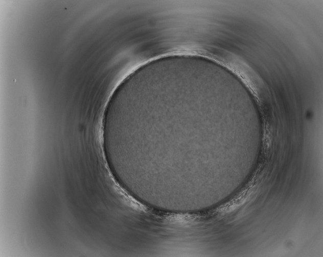 X0000098170950200805011011