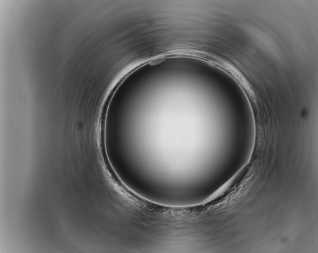 X0000098170955200805011011