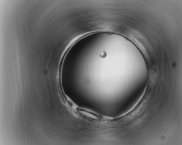 X0000098170956200805011011