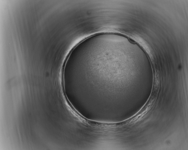 X0000098170958200805011011