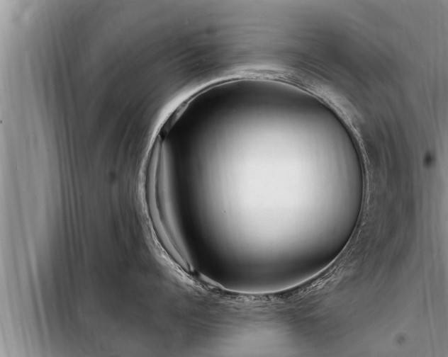 X0000098170960200805011011