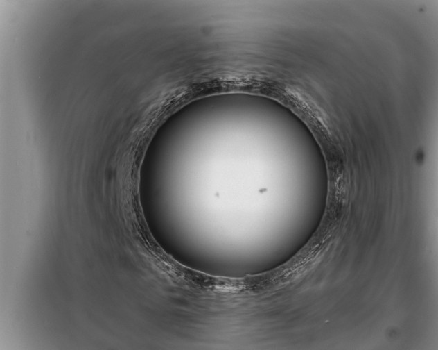 X0000098170961200805011010