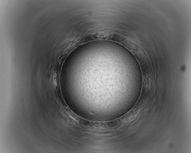 X0000098170962200805011010