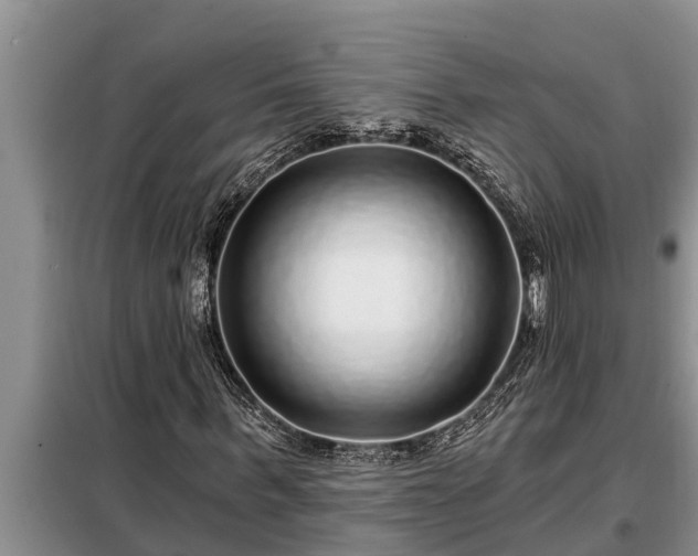 X0000098170963200805011010