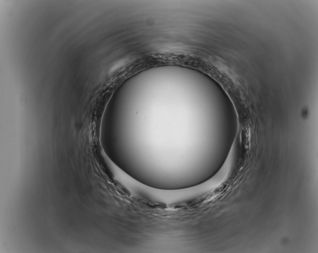 X0000098170965200805011010