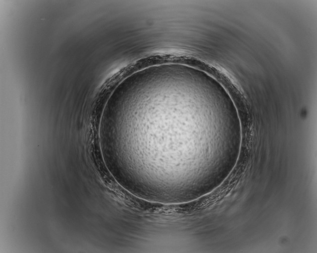 X0000098170967200805011010