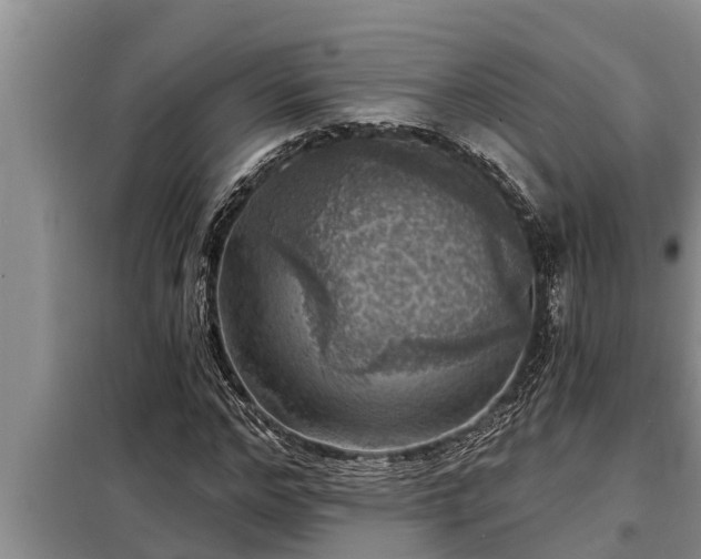 X0000098170968200805011010