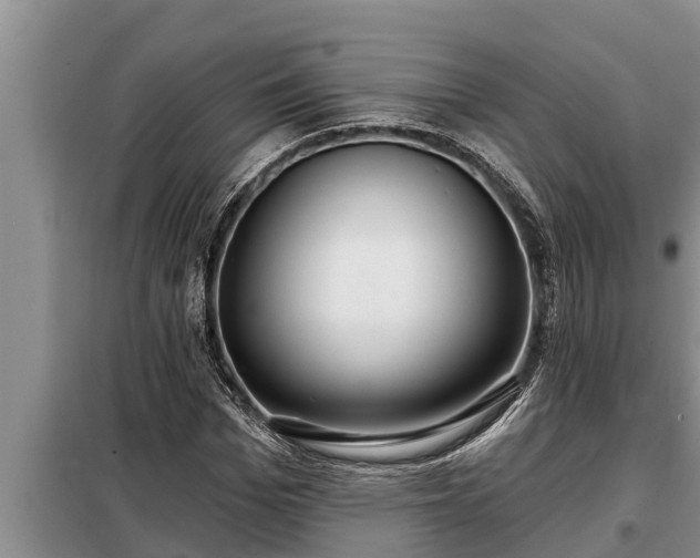 X0000098170969200805011010