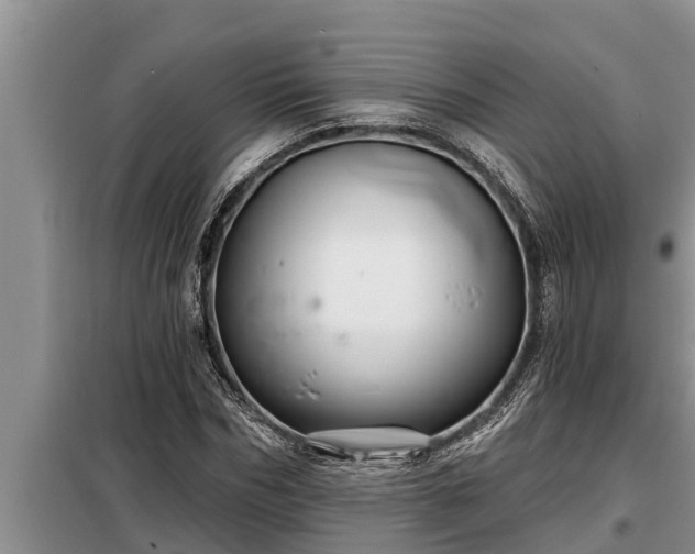 X0000098170970200805011010