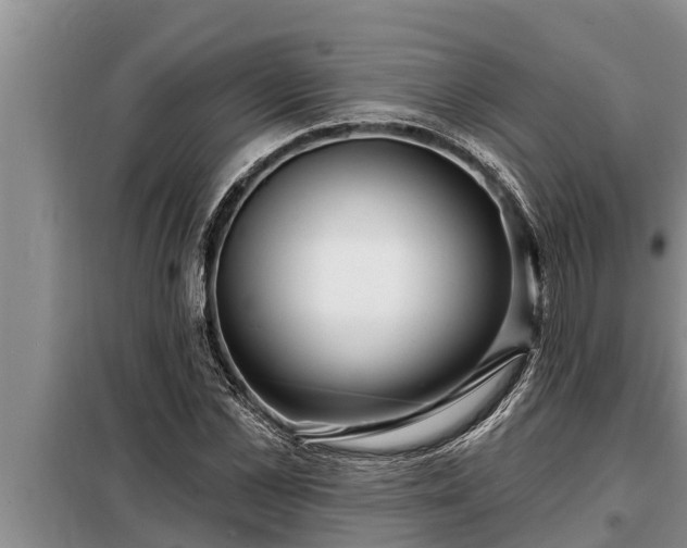 X0000098170973200805011010