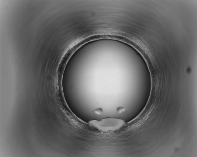 X0000098170974200805011010