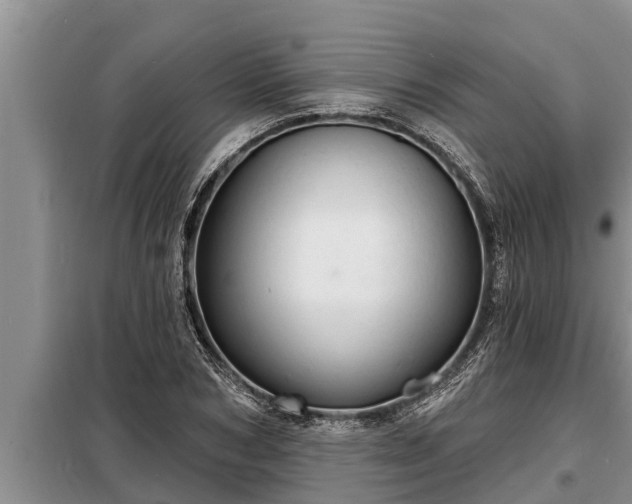 X0000098170978200805011010