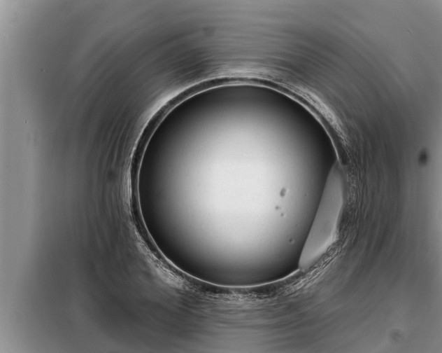 X0000098170980200805011010