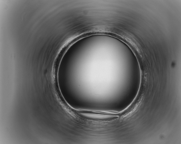 X0000098170981200805011010