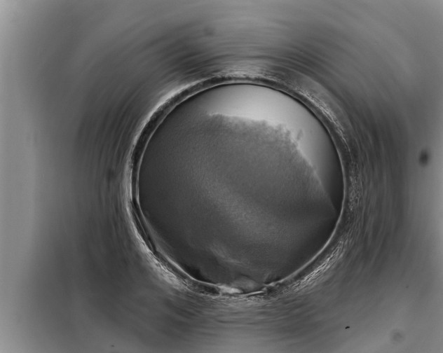 X0000098170984200805011010