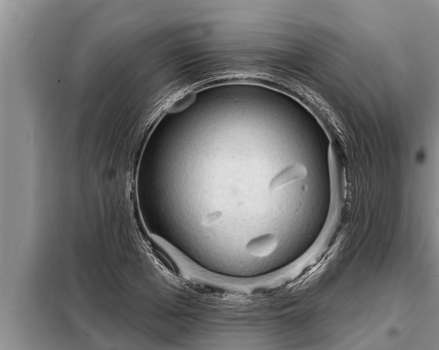 X0000098170985200805011010