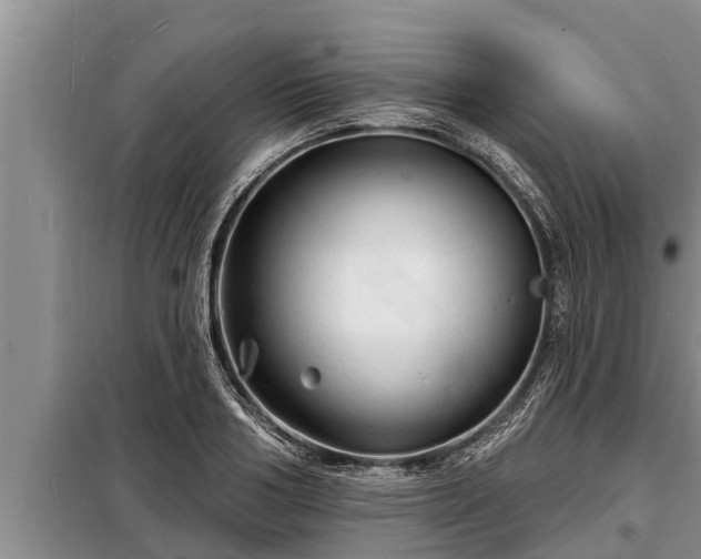 X0000098170986200805011010