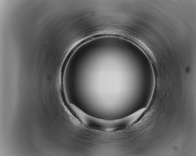 X0000098170988200805011010