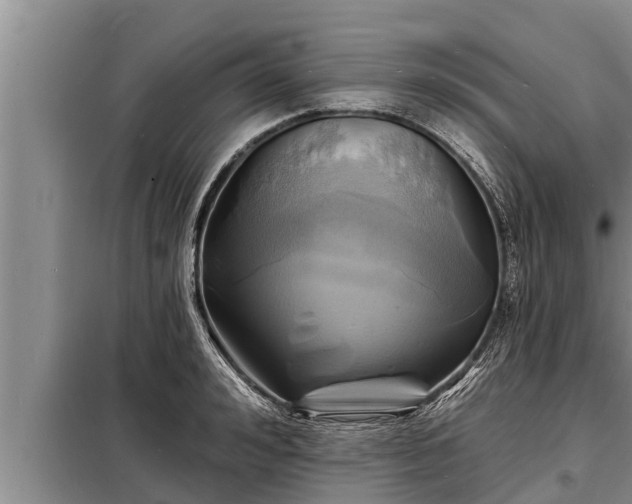 X0000098170992200805011009