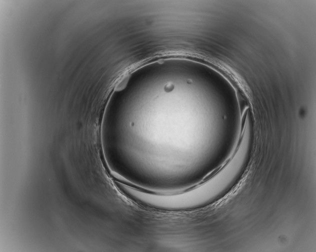 X0000098170993200805011009