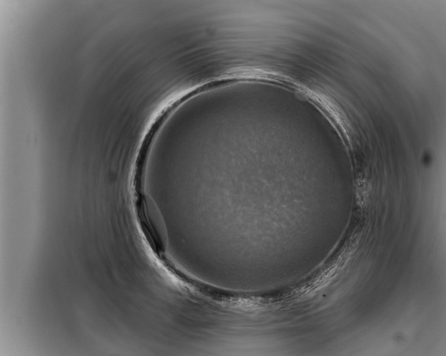 X0000098170995200805011009