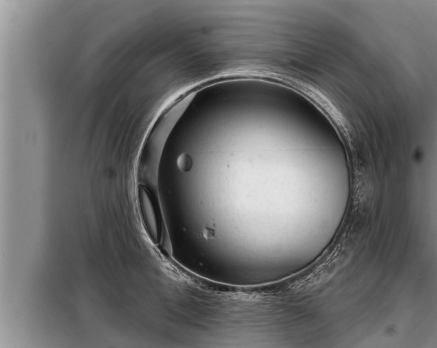 X0000098170996200805011009