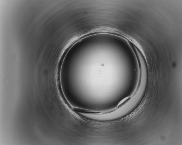 X0000098170997200805011009