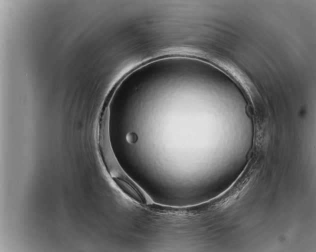 X0000098170999200805011009