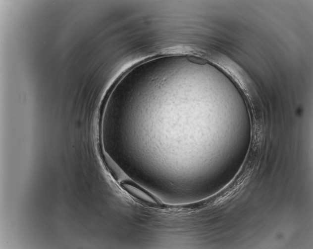 X0000098171000200805011009