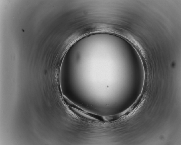 X0000098171001200805011009