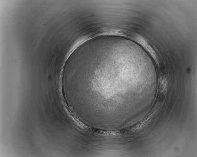 X0000098171002200805011009