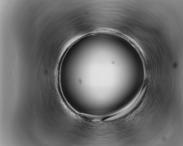 X0000098171003200805011009