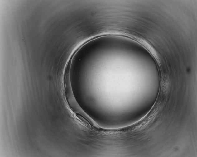 X0000098171004200805011009