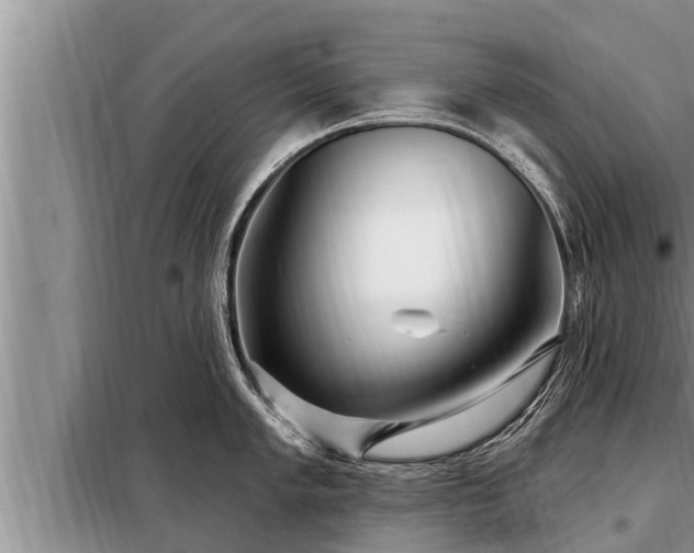 X0000098171005200805011009