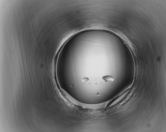 X0000098171006200805011009