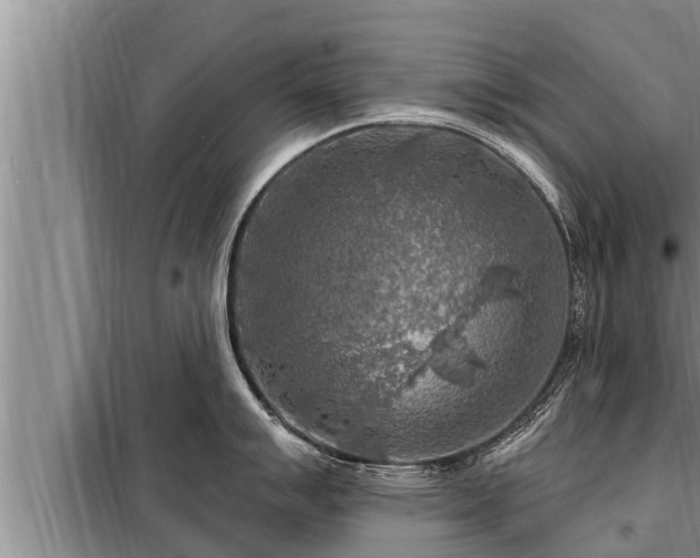 X0000098171007200805011009