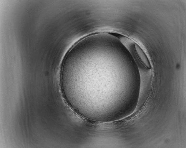 X0000098171008200805011009