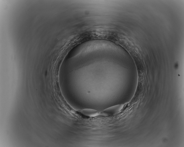 X0000098171009200805011009