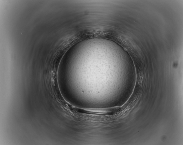 X0000098171010200805011009