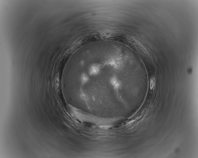 X0000098171011200805011009