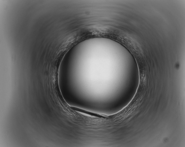 X0000098171012200805011009