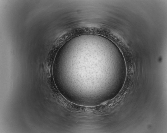 X0000098171013200805011009