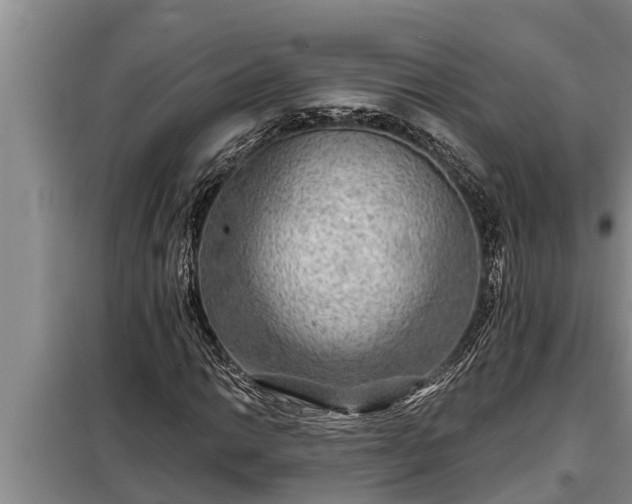 X0000098171014200805011009