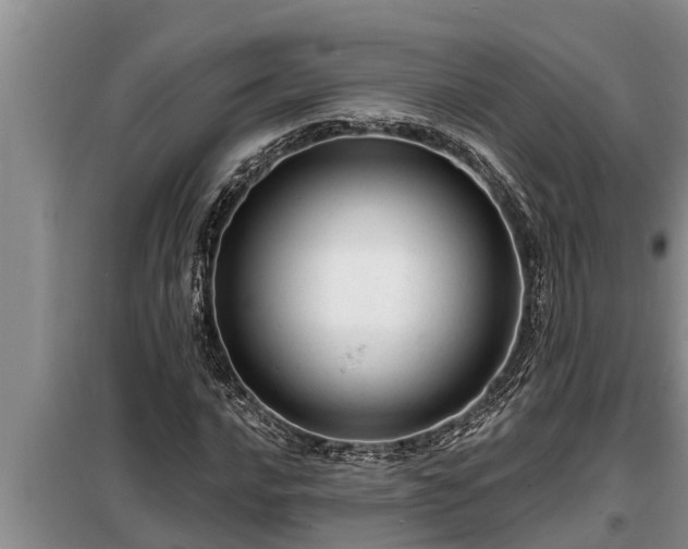 X0000098171016200805011009