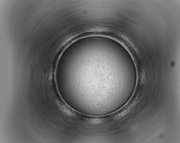 X0000098171017200805011009