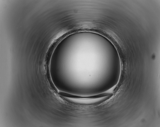 X0000098171018200805011009