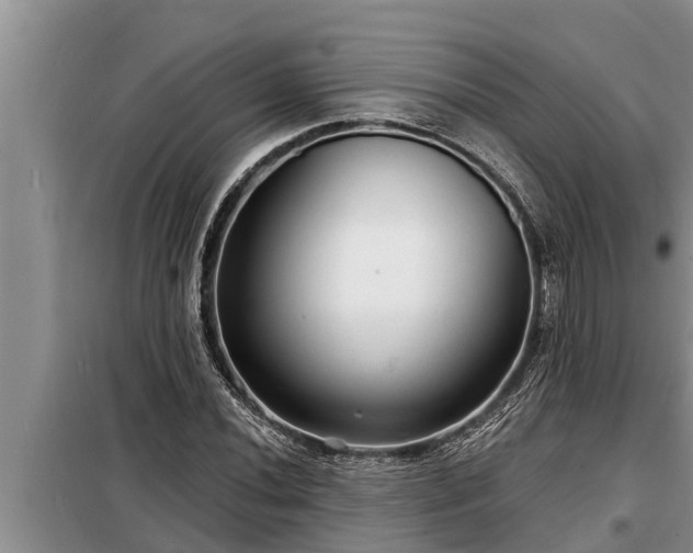 X0000098171020200805011009